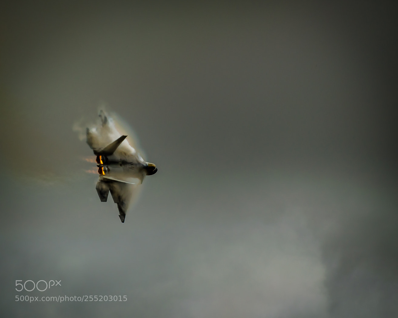 Nikon D5100 sample photo. Raptor photography