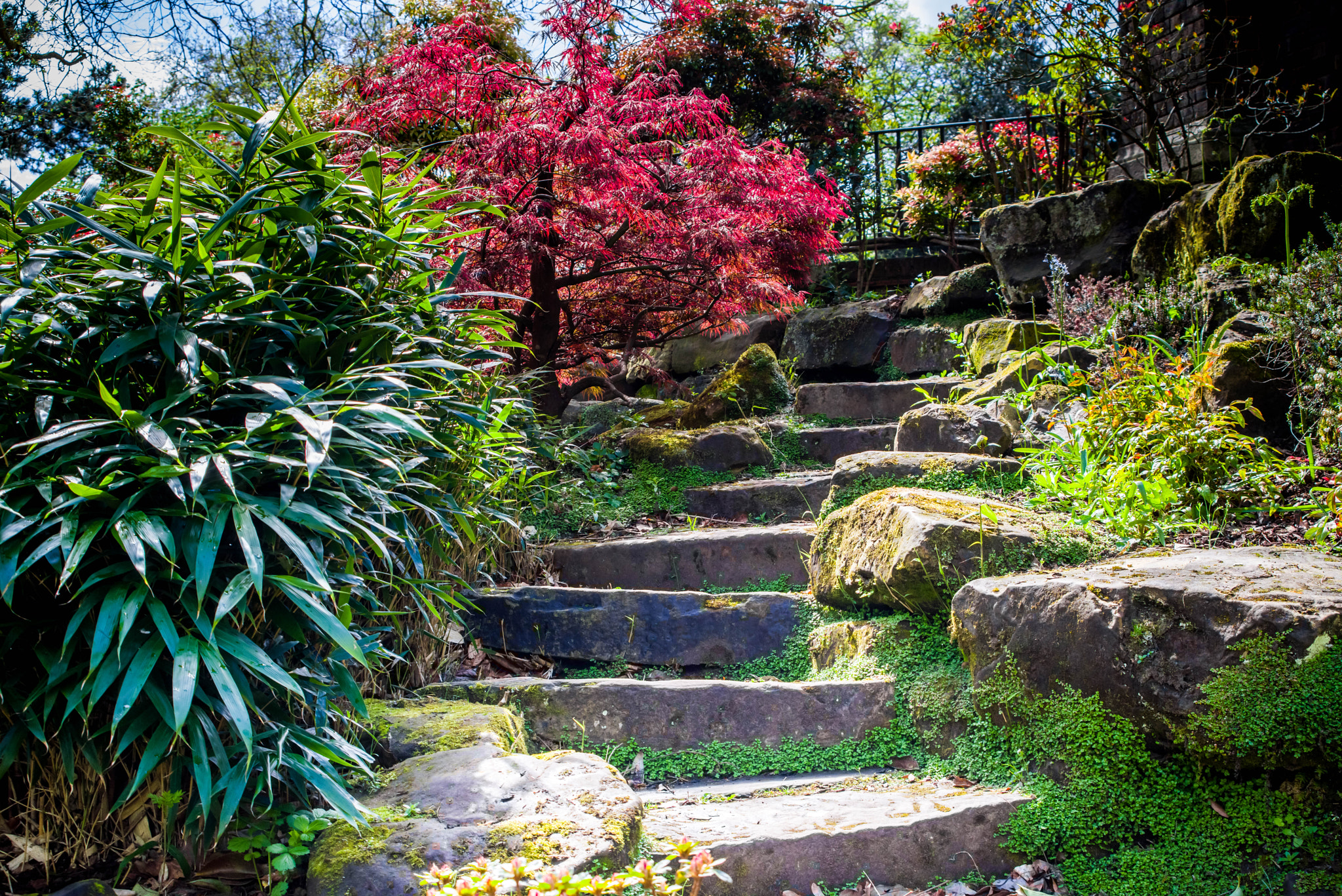 Pentax K-1 Mark II sample photo. Steps photography
