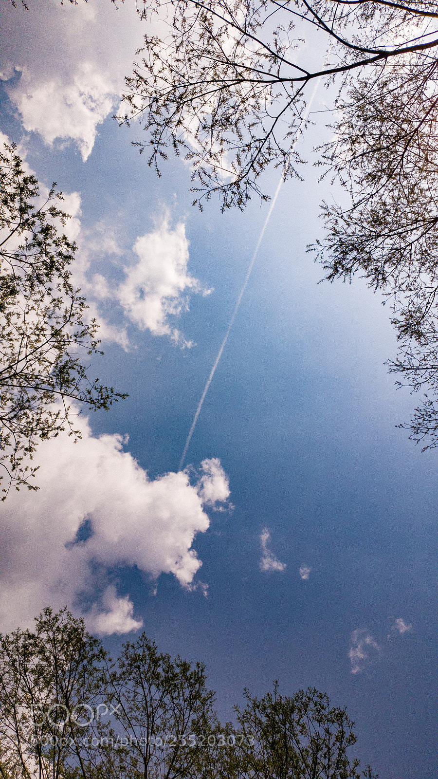 Samsung Galaxy S9+ sample photo. See the sky photography
