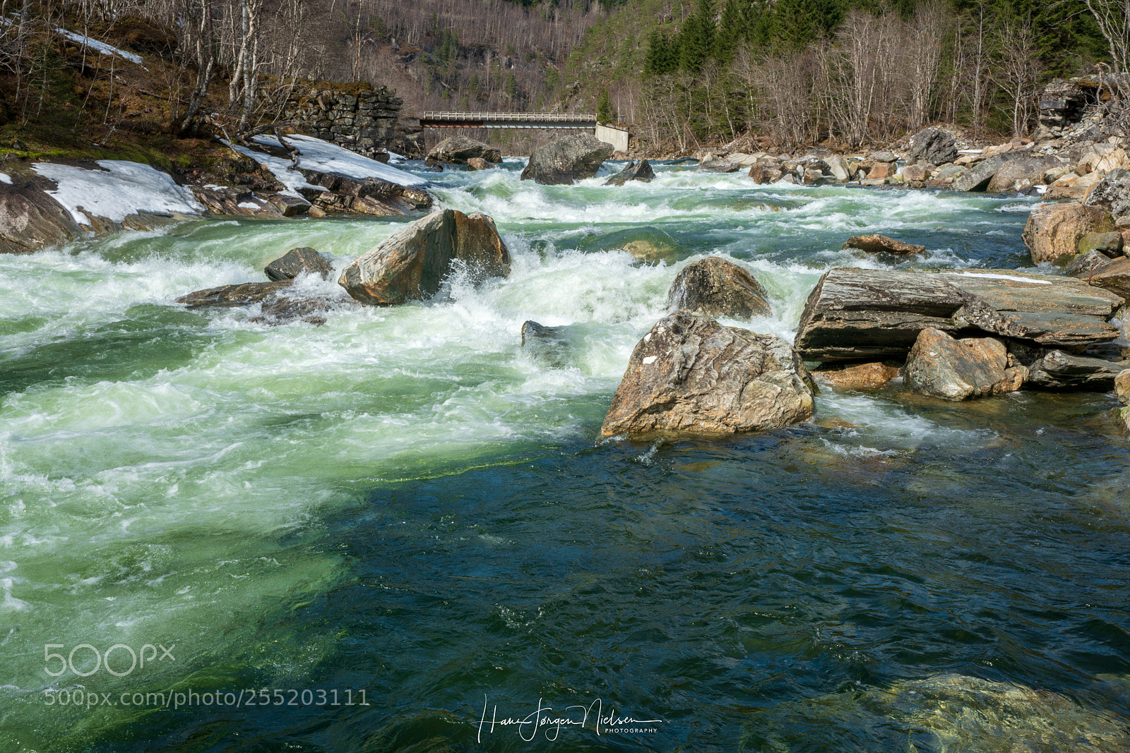 Sony a7R II sample photo. Emerald queen photography
