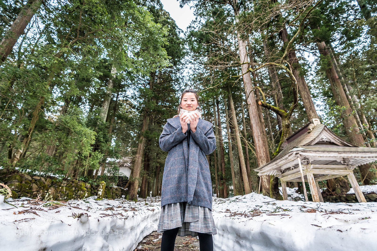 Sony a7R III sample photo. 勝山 photography