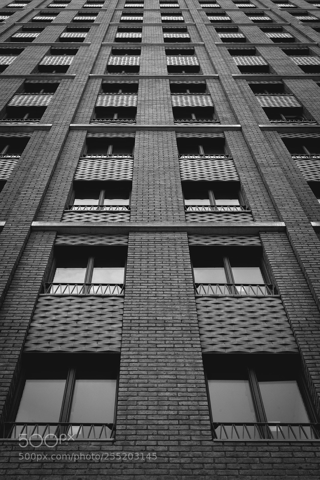 Sony a7 II sample photo. Looking up photography