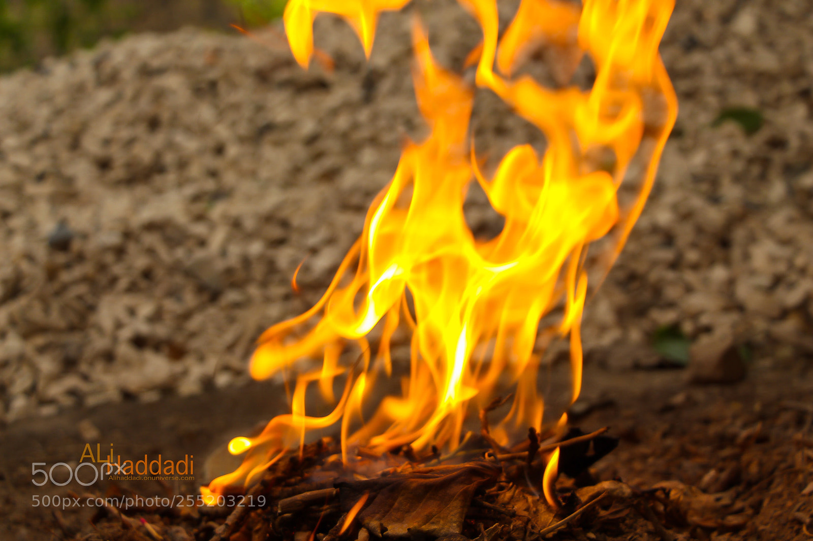 Canon EOS 700D (EOS Rebel T5i / EOS Kiss X7i) sample photo. Fire photography