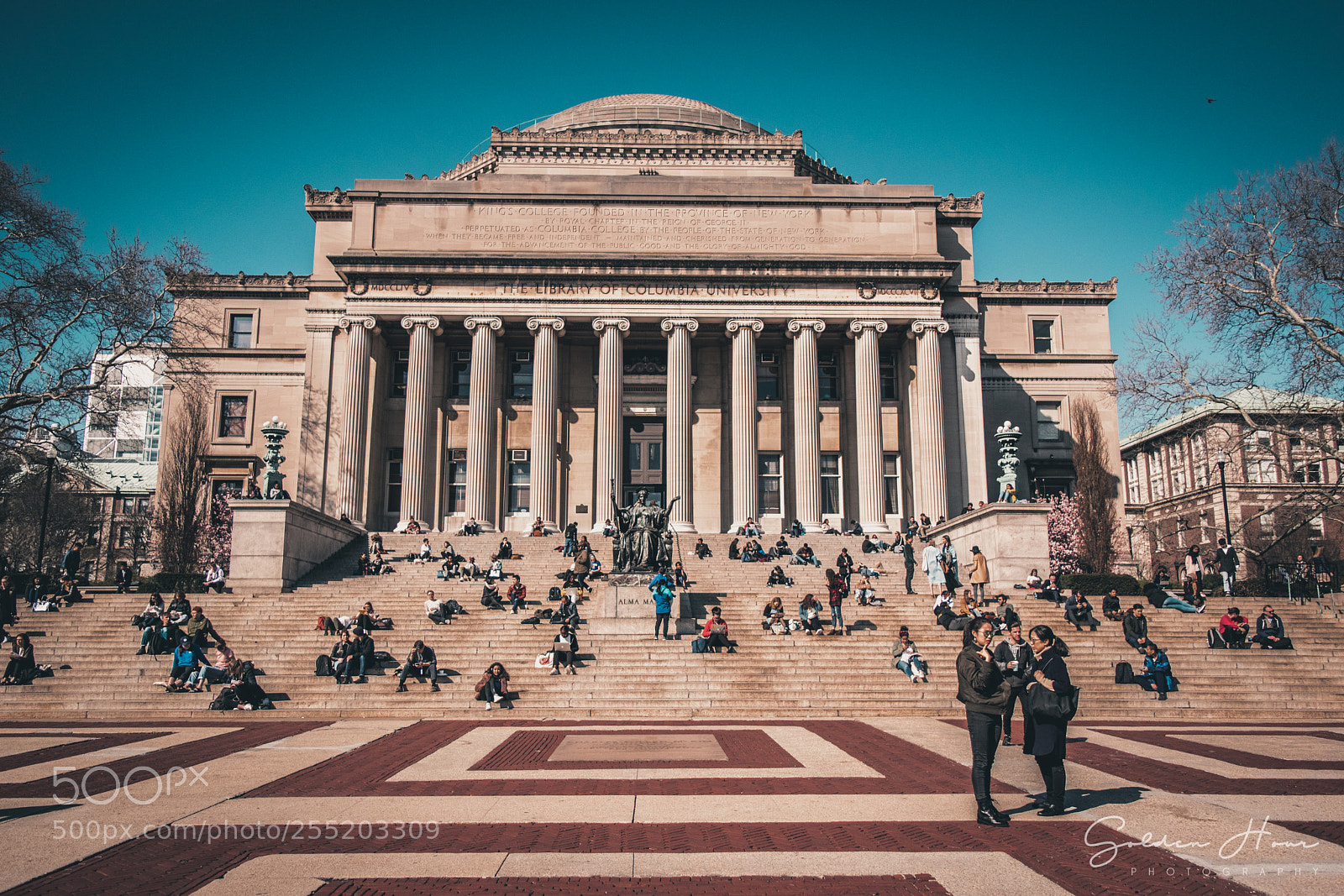 Nikon D5300 sample photo. Library at columbia university photography