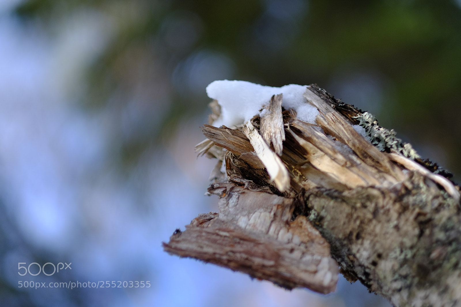 Fujifilm X-T1 sample photo. Résistance photography