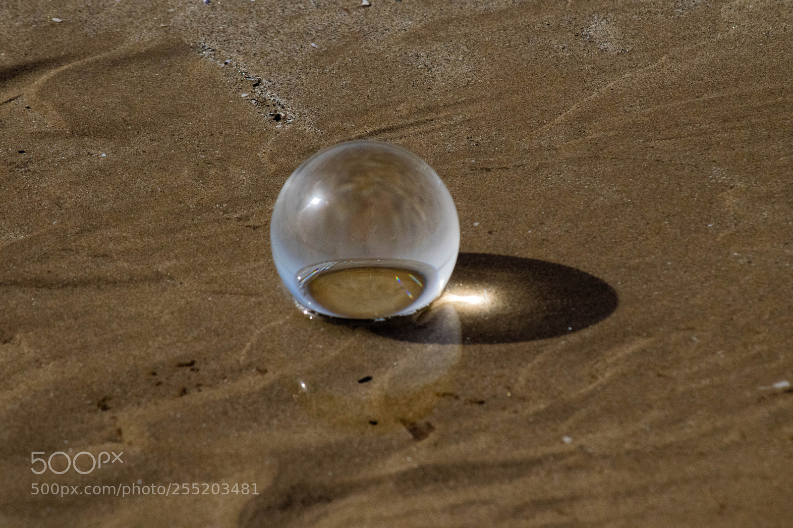 Nikon D3300 sample photo. The world in a photography