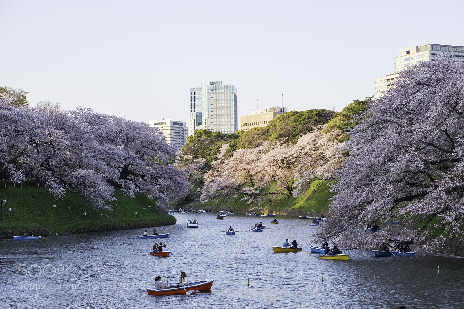 Fujifilm X-E3 sample photo. Cherry blossoms at chidorigafuchi photography
