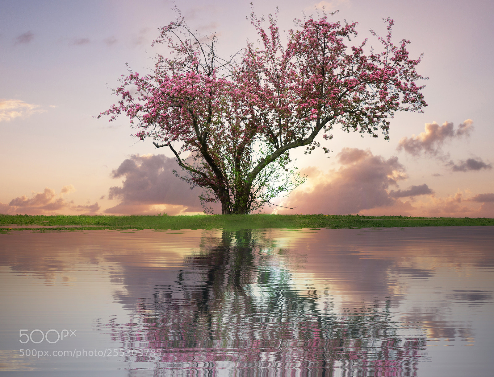 Nikon D3100 sample photo. Spring sunrise photography