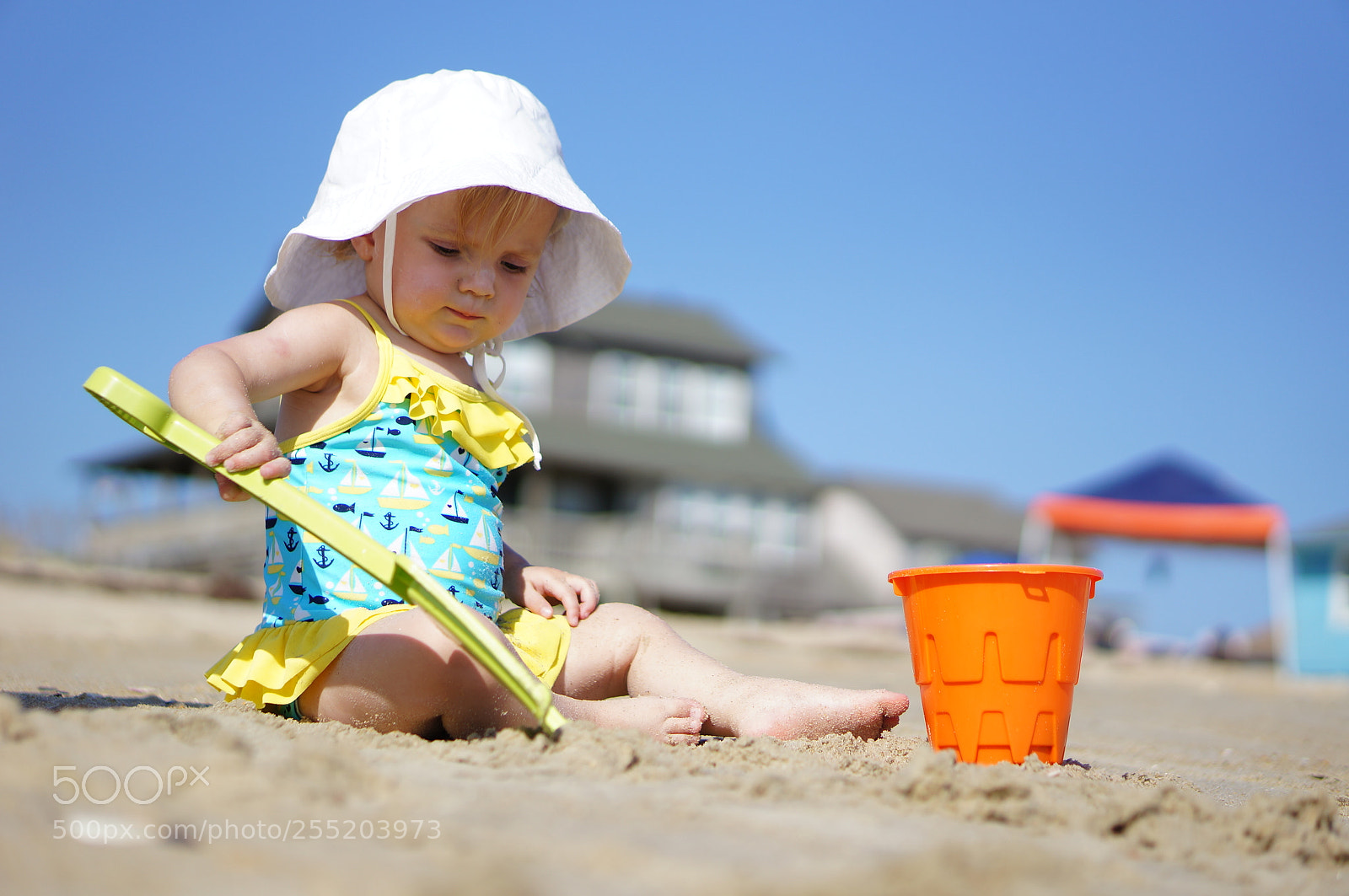 Sony Alpha NEX-5N sample photo. Dsc photography