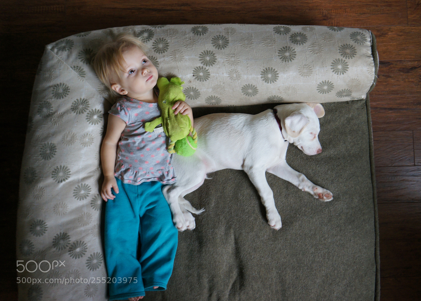 Sony Alpha NEX-5N sample photo. Dsc photography