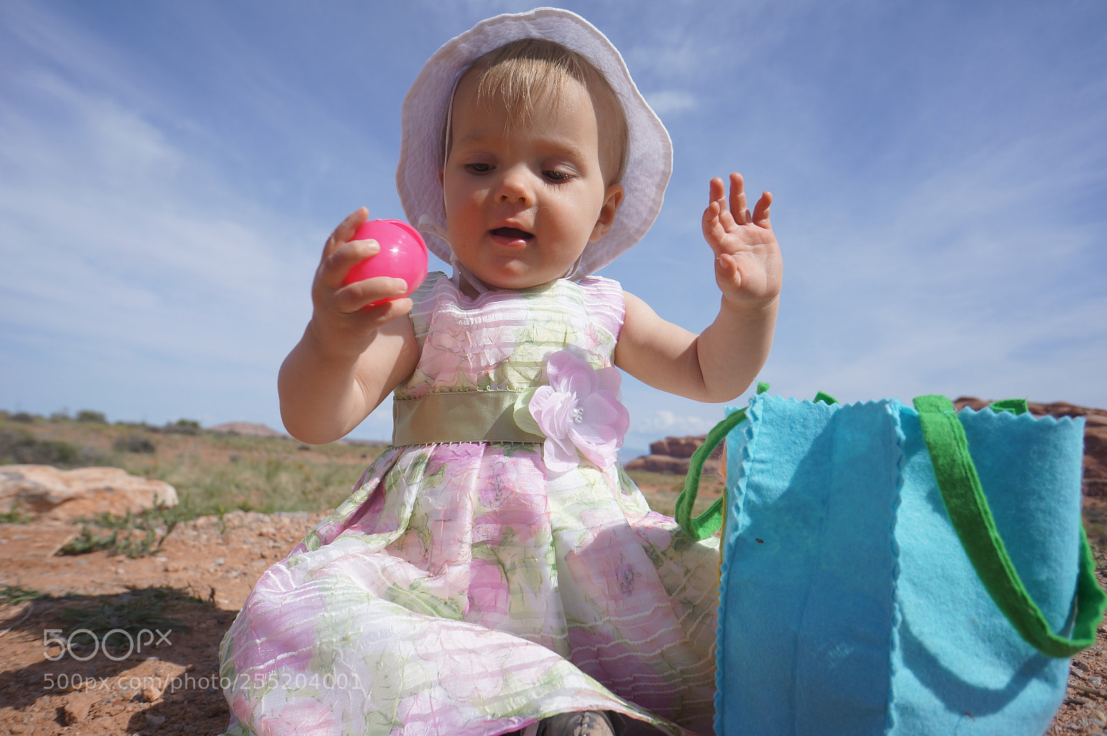 Sony Alpha NEX-5N sample photo. Dsc photography