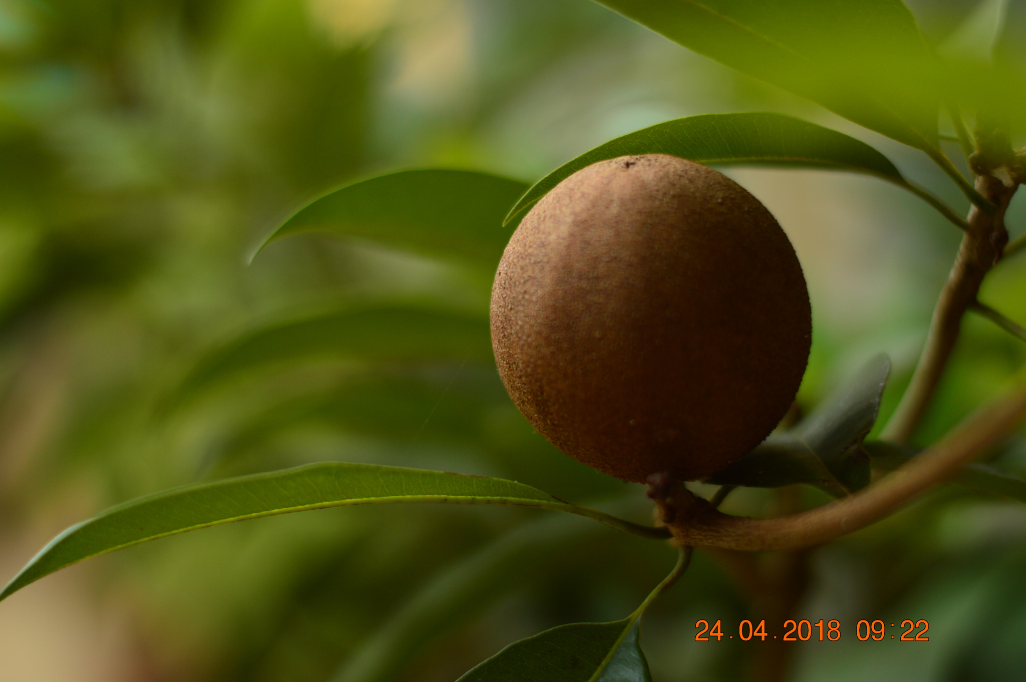 Nikon D3200 + Nikon AF-S Nikkor 50mm F1.8G sample photo. Let's have photography
