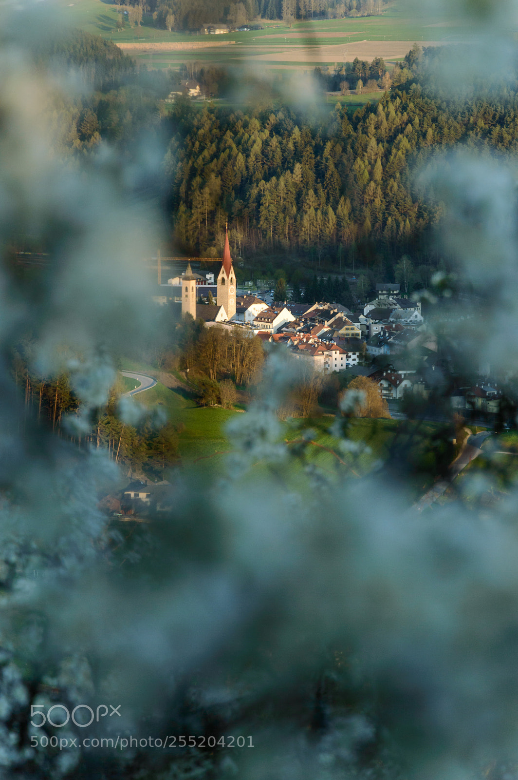 Nikon D3200 sample photo. Spring photography