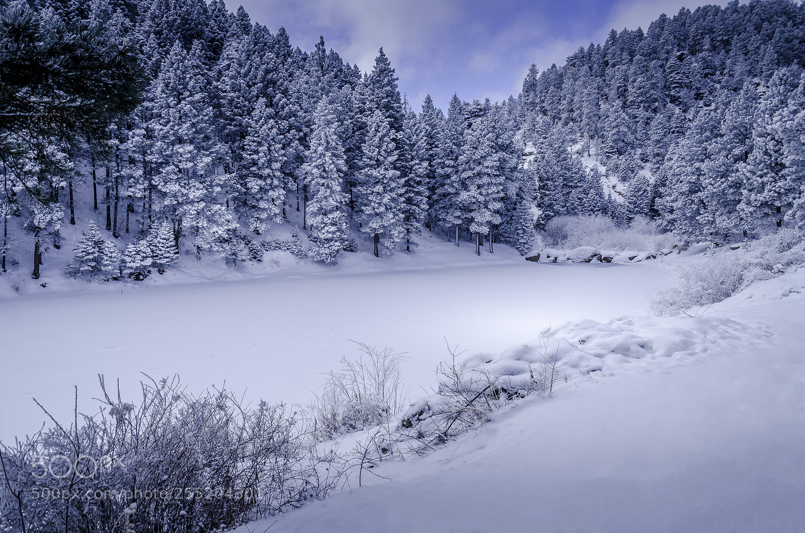 Nikon D7000 sample photo. Palmer lake reservoir in photography