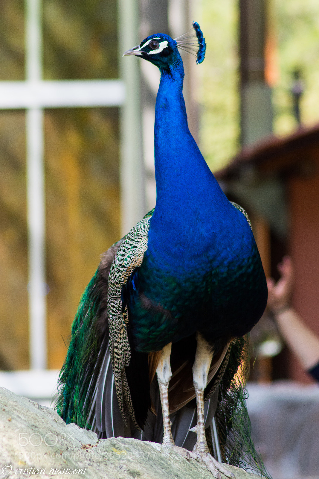Nikon D5200 sample photo. Untitled photography