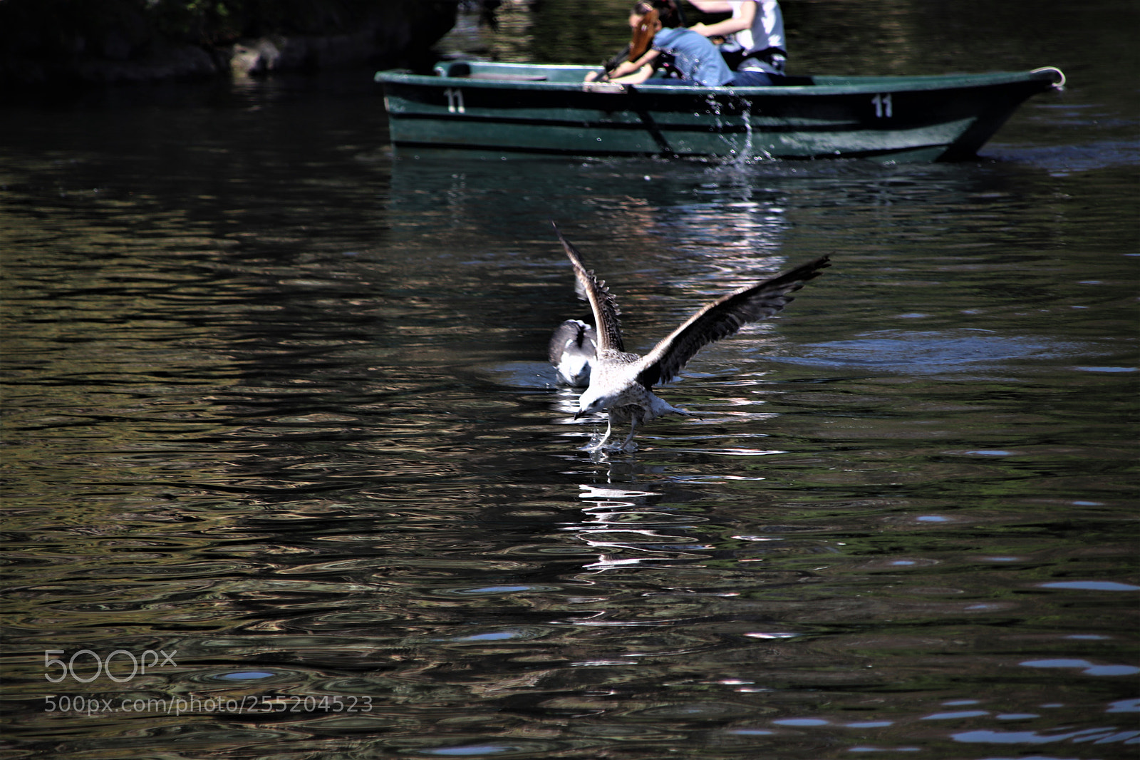 Canon EOS 77D (EOS 9000D / EOS 770D) sample photo. Img photography
