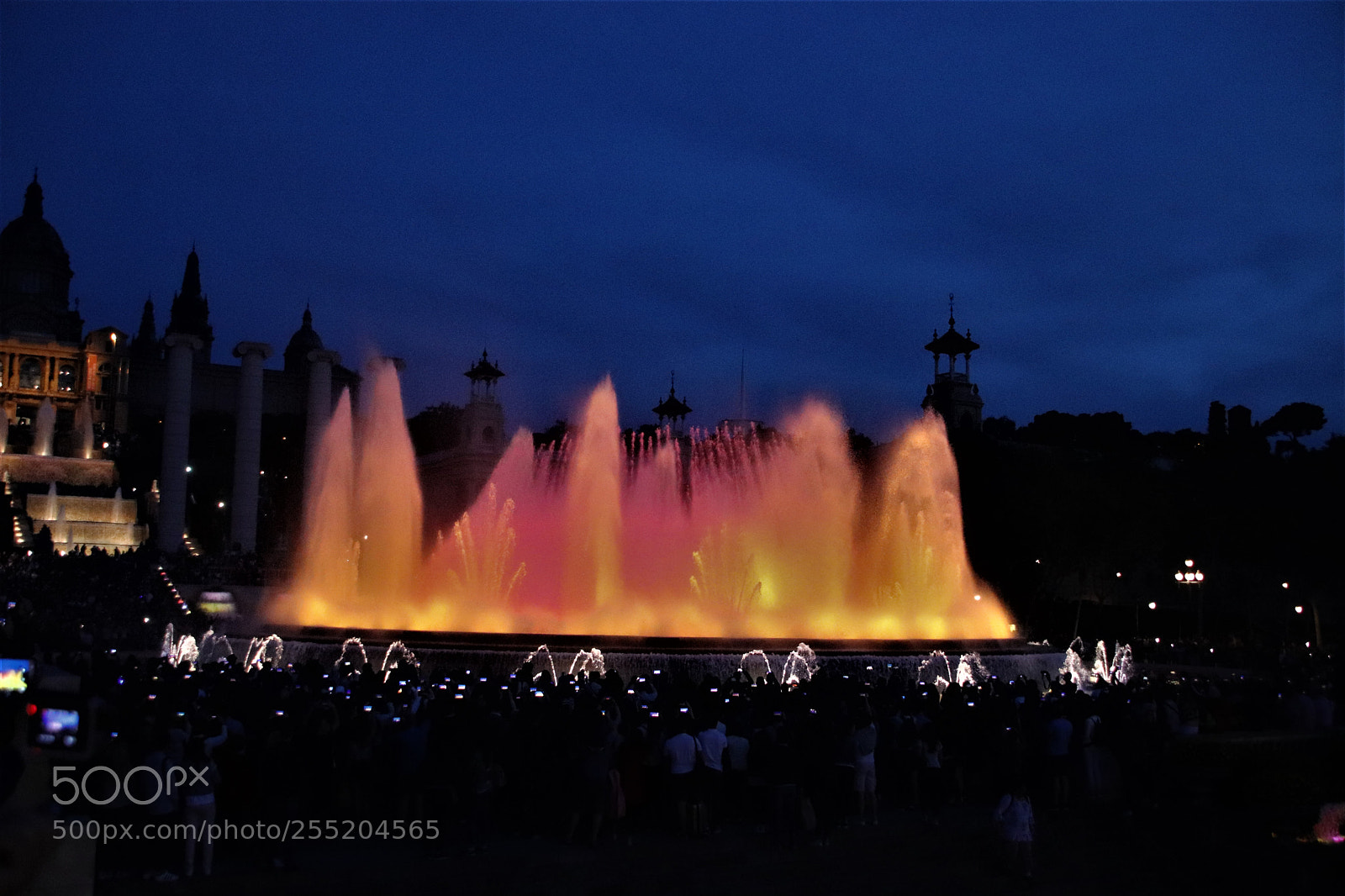 Canon EOS 77D (EOS 9000D / EOS 770D) sample photo. Img photography