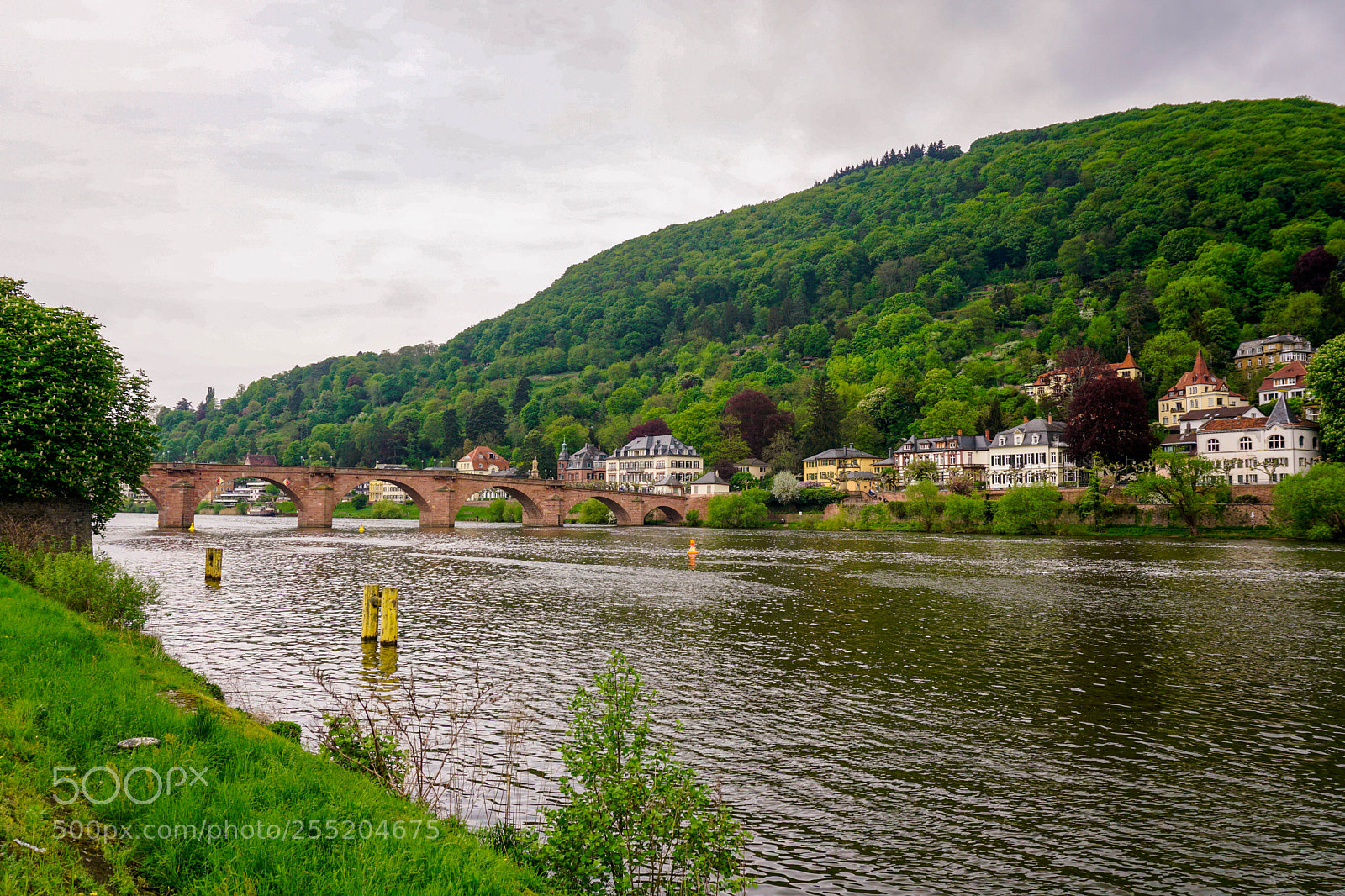 Sony a6000 sample photo. Neckar river and heidelberg photography
