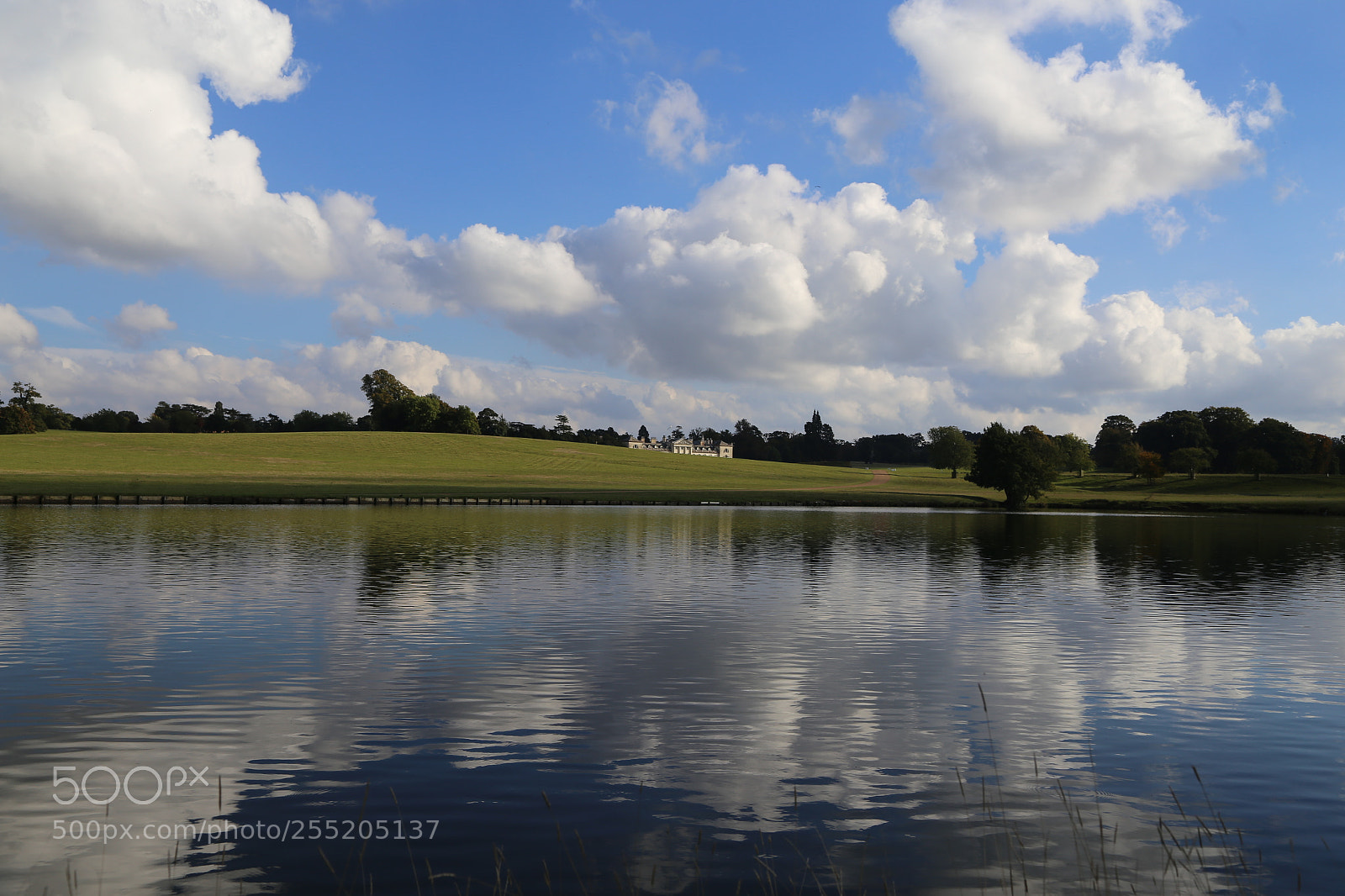 Canon EOS 6D + Canon EF 24-105mm F4L IS USM sample photo. Woburn deer park, bedfordshire photography