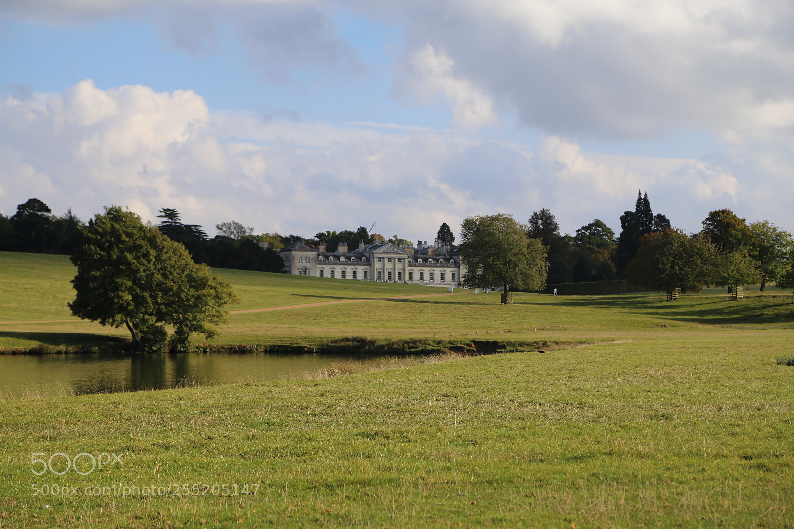 Canon EOS 6D + Canon EF 24-105mm F4L IS USM sample photo. Woburn deer park, bedfordshire photography