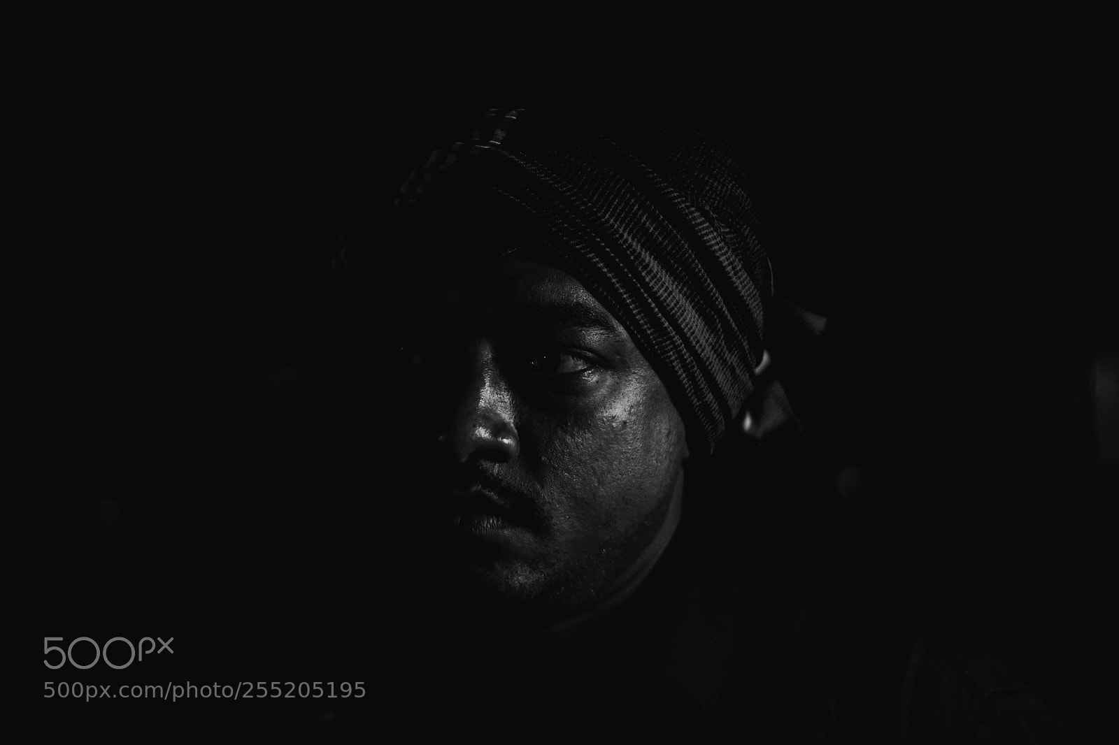 Nikon D7100 sample photo. Dark hunter photography