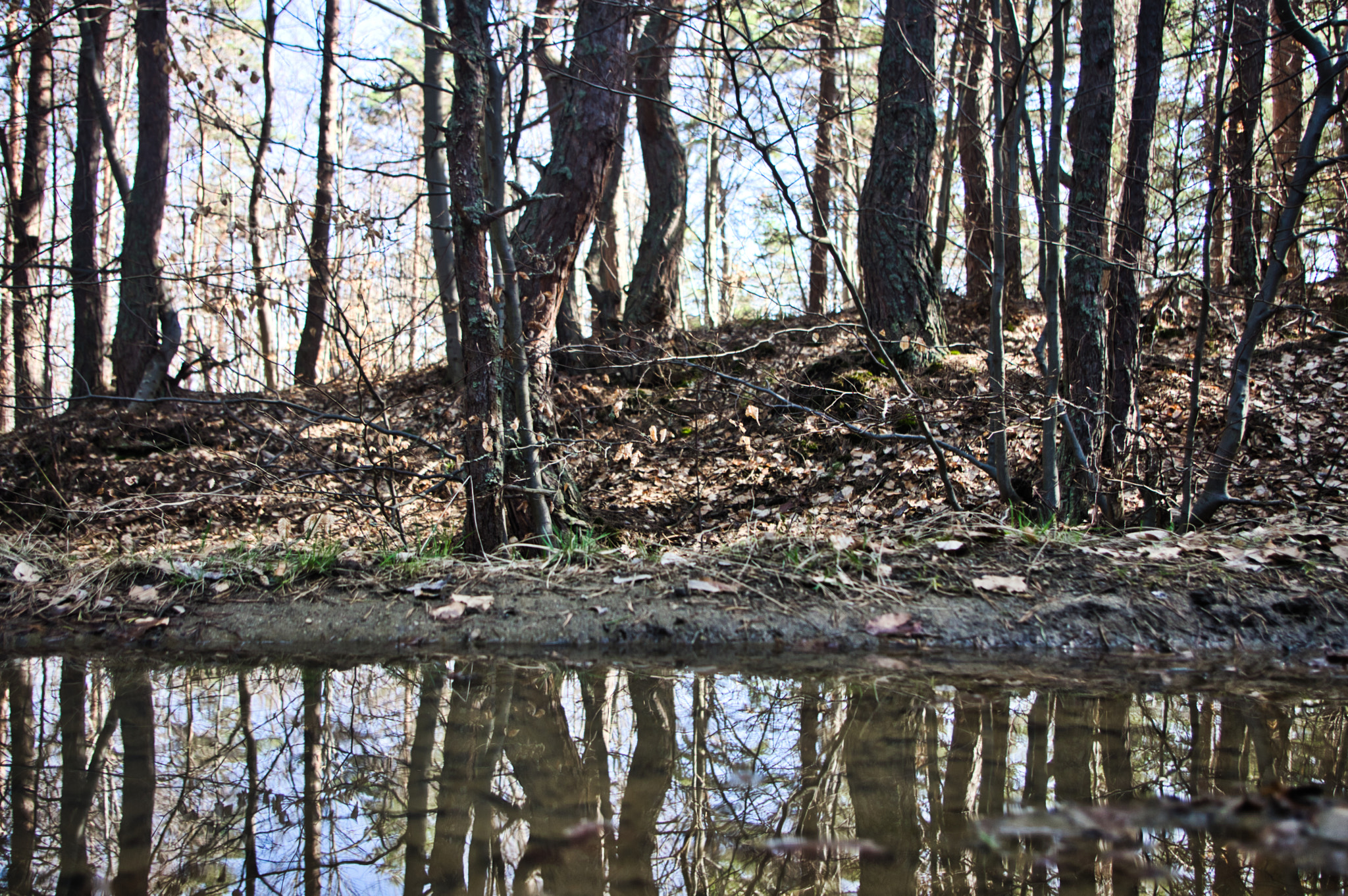 Pentax smc DA 18-55mm F3.5-5.6 AL WR sample photo. Mirrors in nature photography