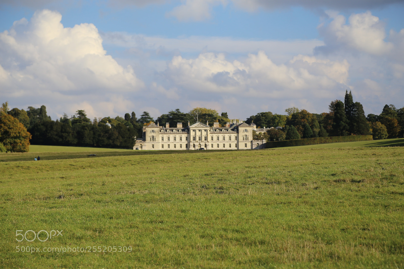 Canon EOS 6D + Canon EF 24-105mm F4L IS USM sample photo. Woburn deer park, bedfordshire photography