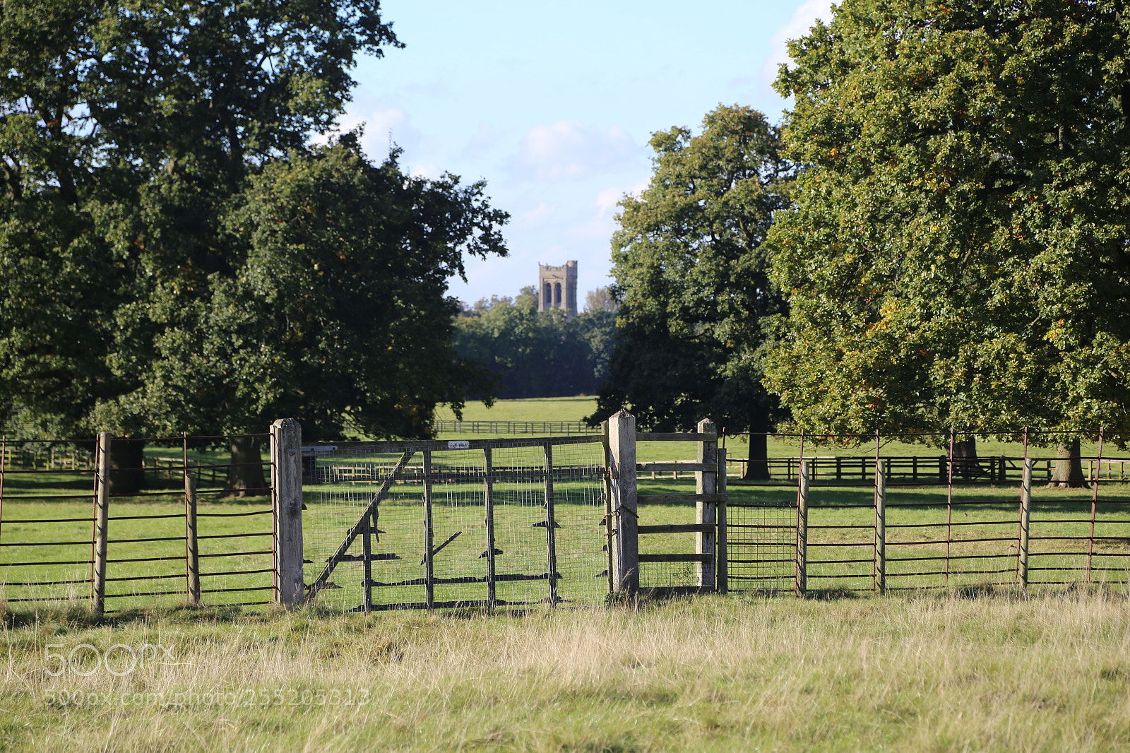 Canon EOS 6D + Canon EF 24-105mm F4L IS USM sample photo. Woburn deer park, bedfordshire photography