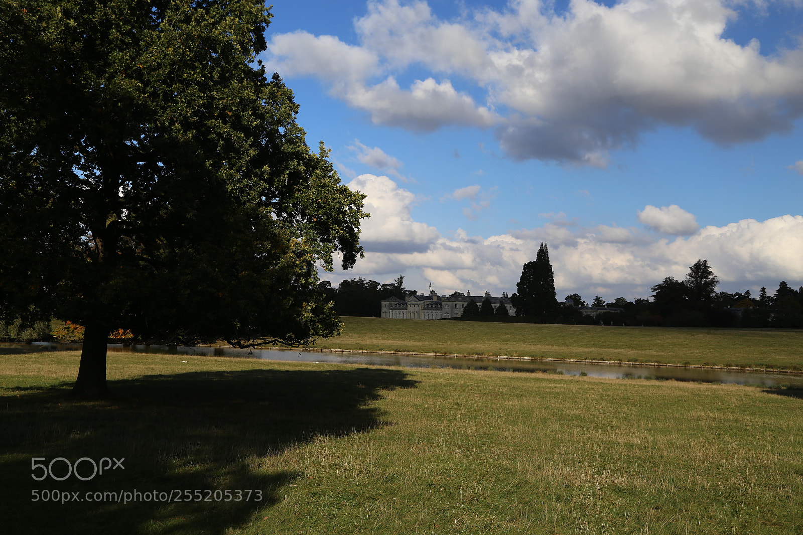 Canon EOS 6D + Canon EF 24-105mm F4L IS USM sample photo. Woburn deer park, bedfordshire photography