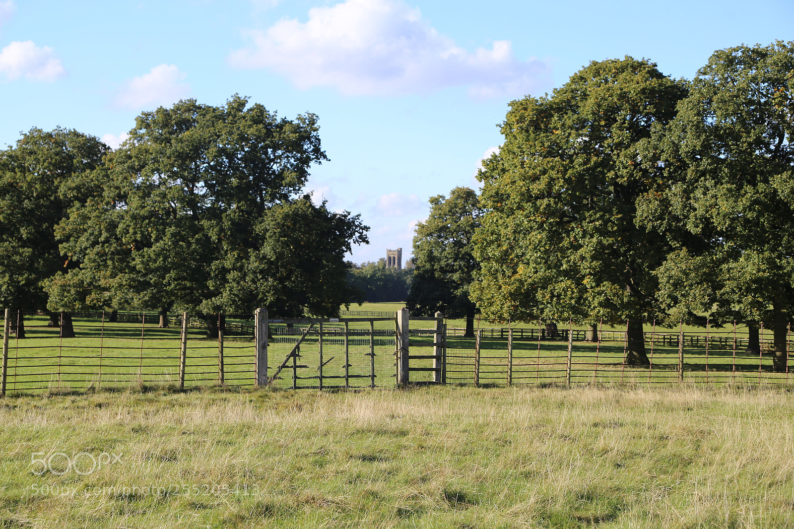 Canon EOS 6D + Canon EF 24-105mm F4L IS USM sample photo. Woburn deer park, bedfordshire photography