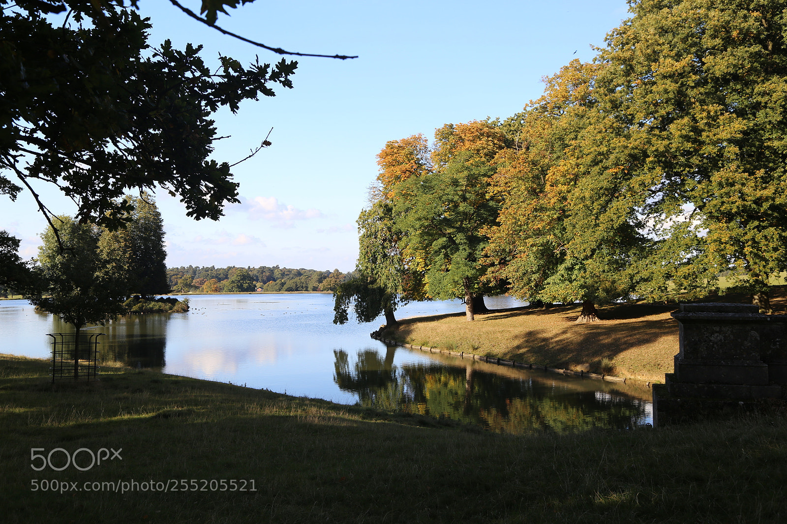 Canon EOS 6D + Canon EF 24-105mm F4L IS USM sample photo. Woburn deer park, bedfordshire photography