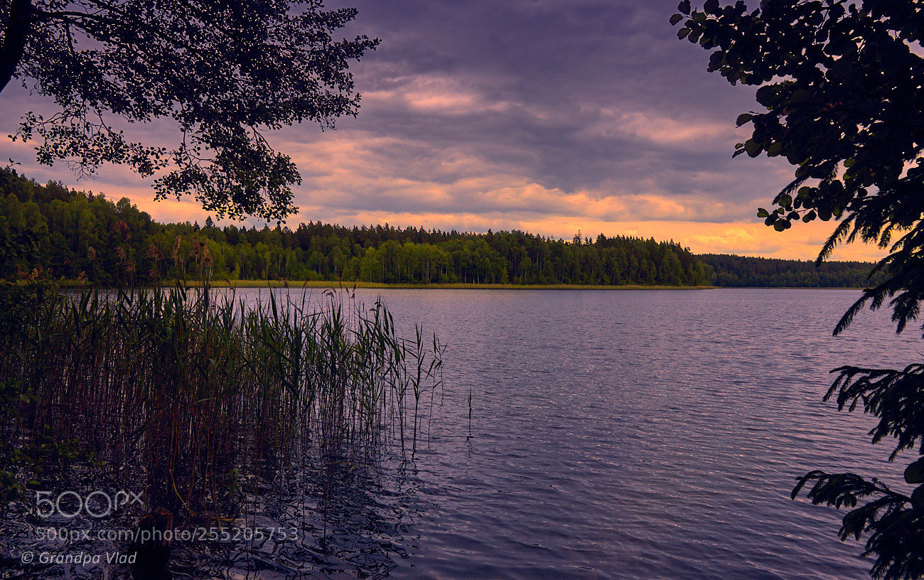 Canon EOS 1100D (EOS Rebel T3 / EOS Kiss X50) sample photo. A forest lake at photography