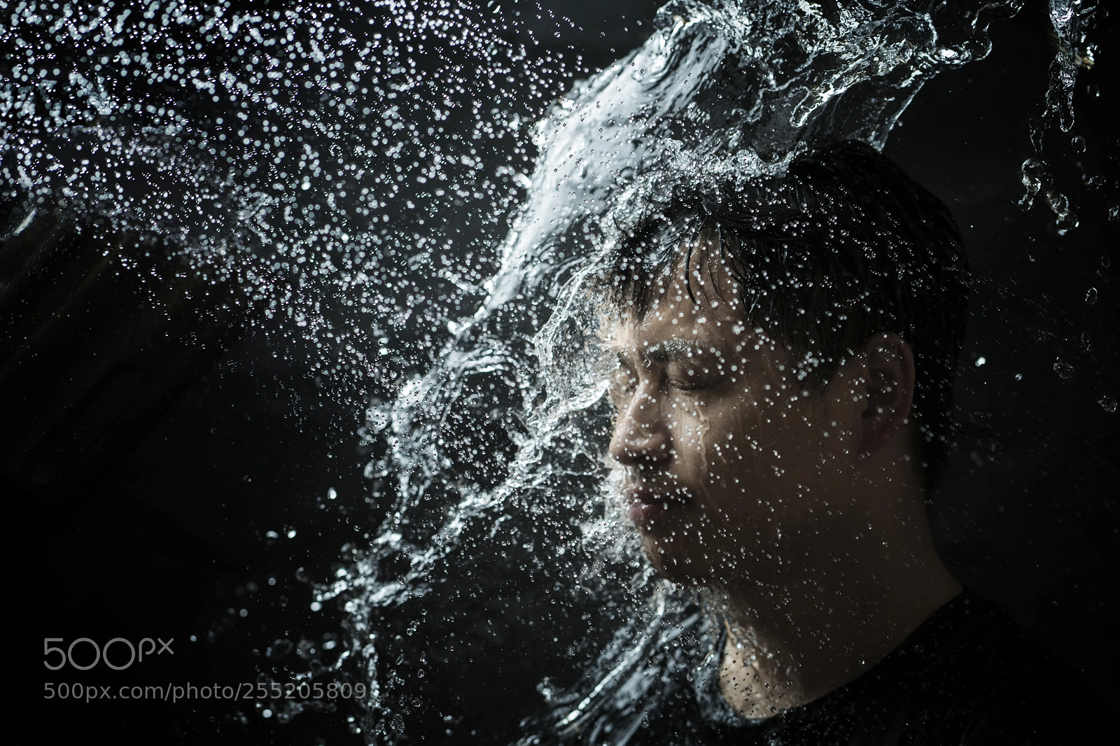 Sony a7R II sample photo. Untitled photography