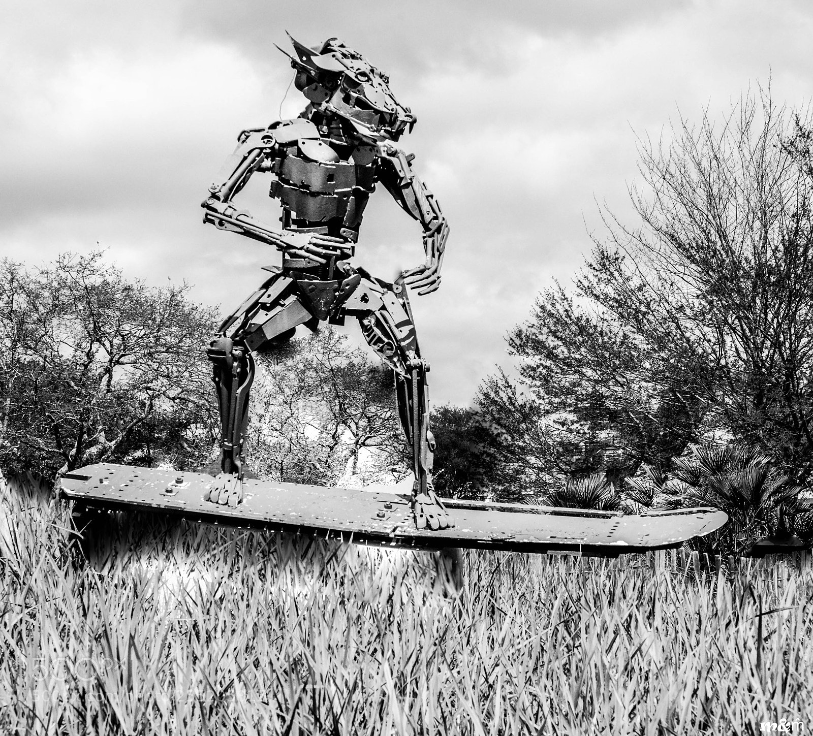 Fujifilm X-T1 sample photo. Robot guidel photography
