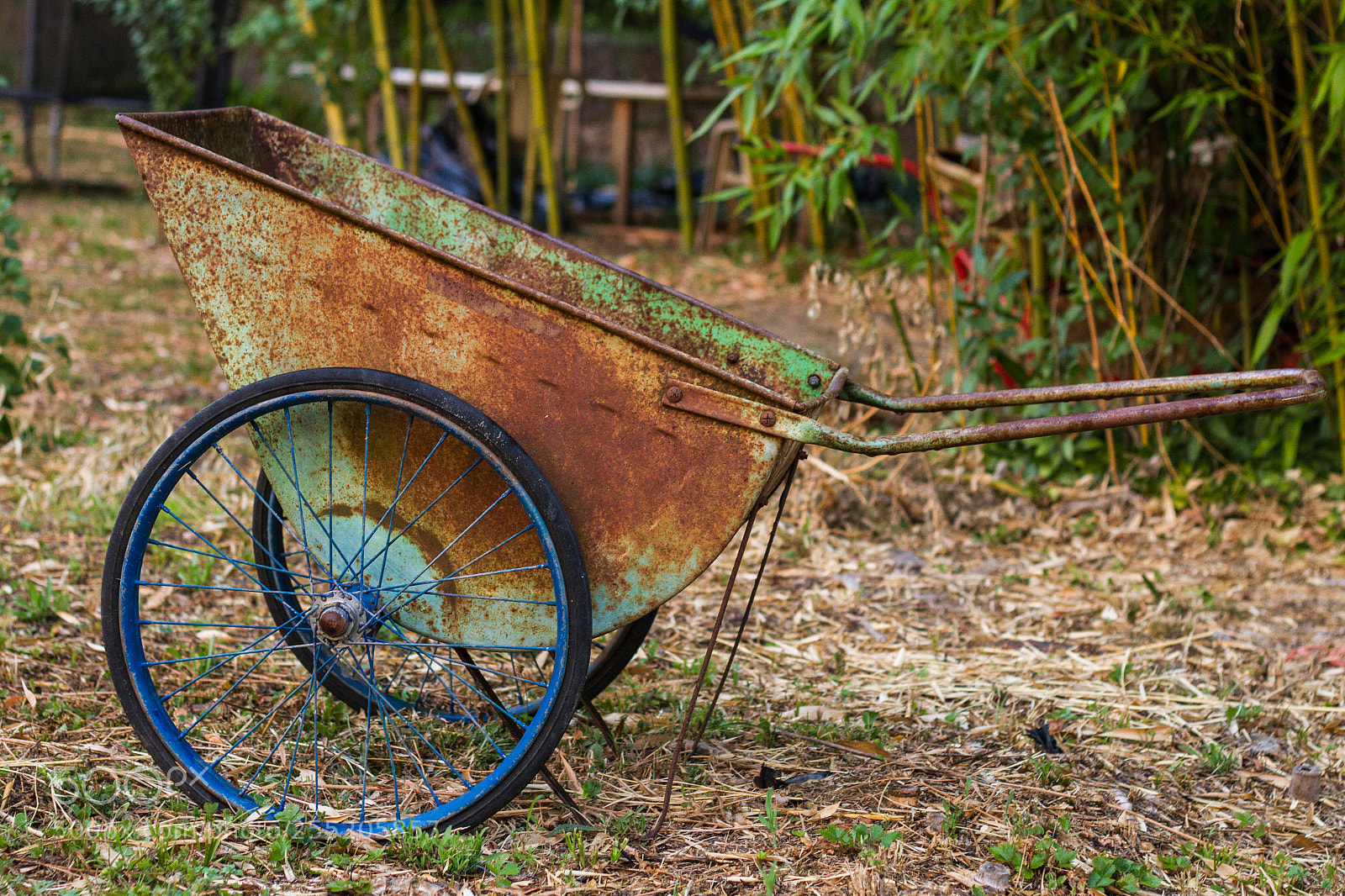 Canon EOS 7D sample photo. Brouette photography
