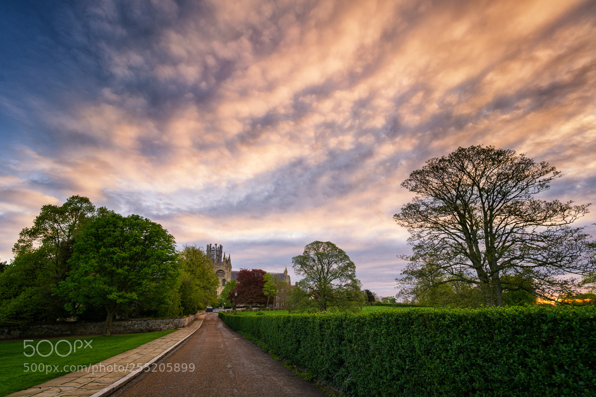 Sony a7R II sample photo. Ely sunrise photography