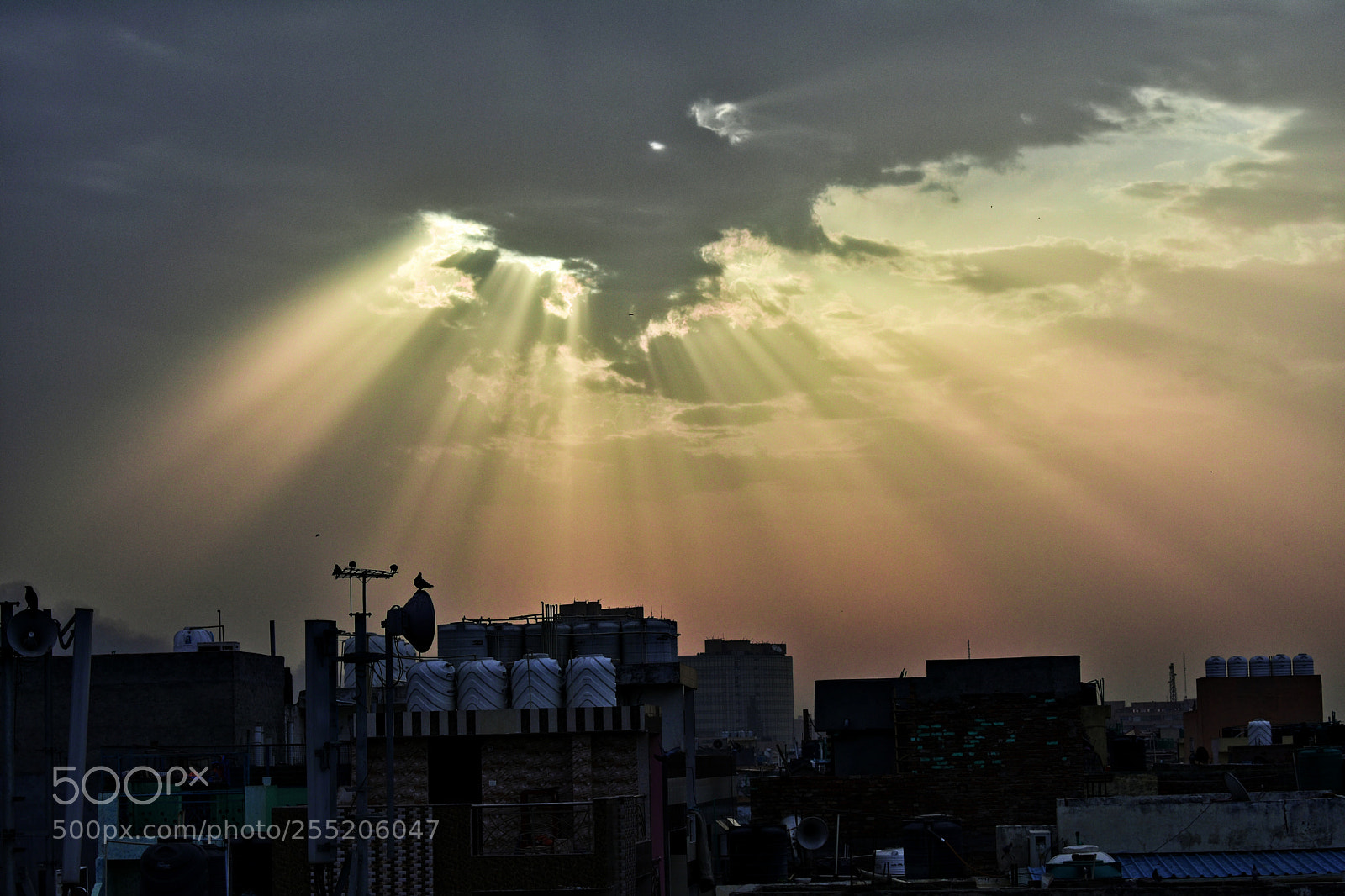 Nikon D3400 sample photo. Sun rays photography
