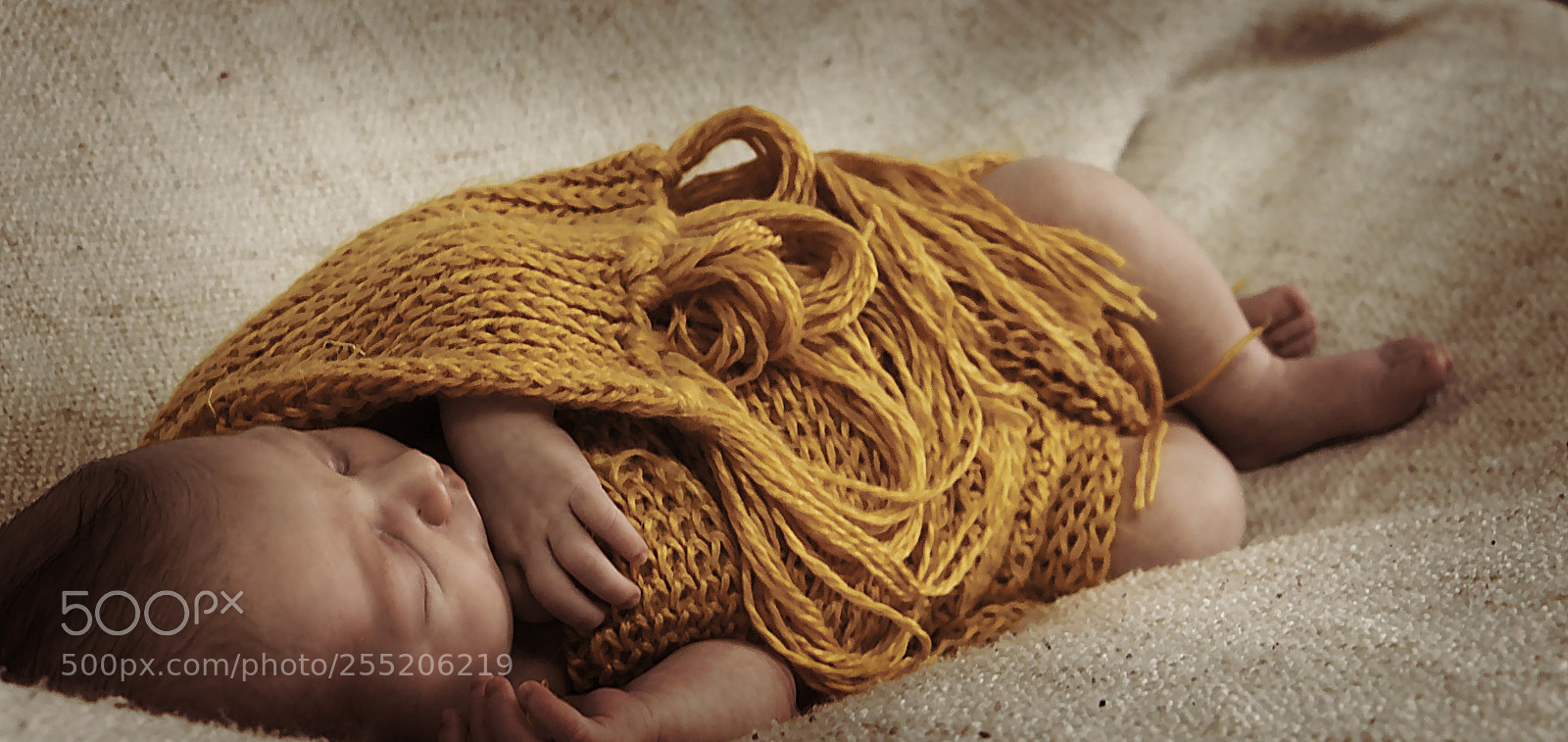 Canon EOS 70D sample photo. Mila photography