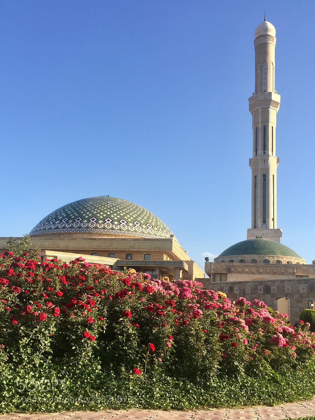 Apple iPhone 6 sample photo. Nanakaly musket photography