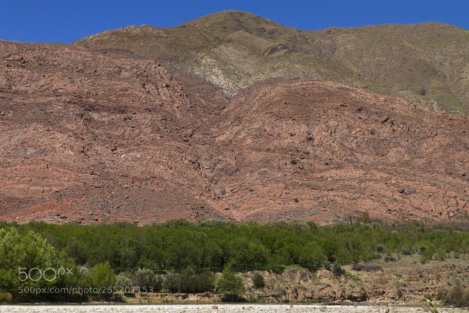 Canon EOS 7D sample photo. 2018-3772.jpg photography