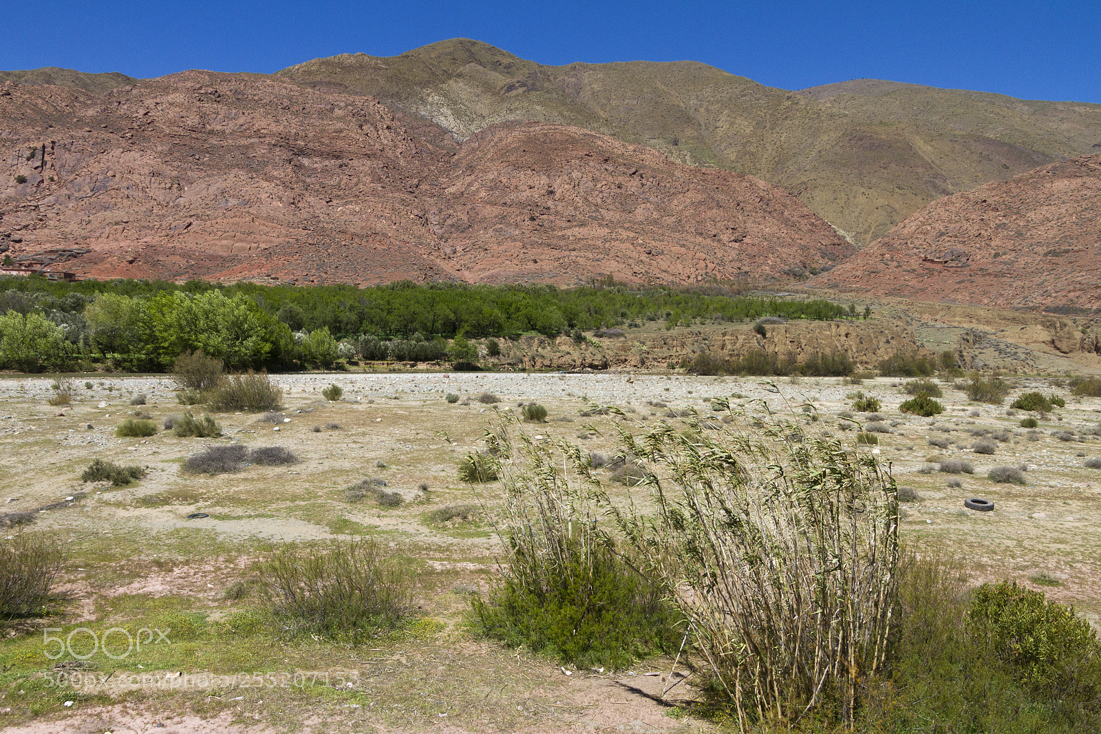 Canon EOS 7D sample photo. 2018-3771.jpg photography