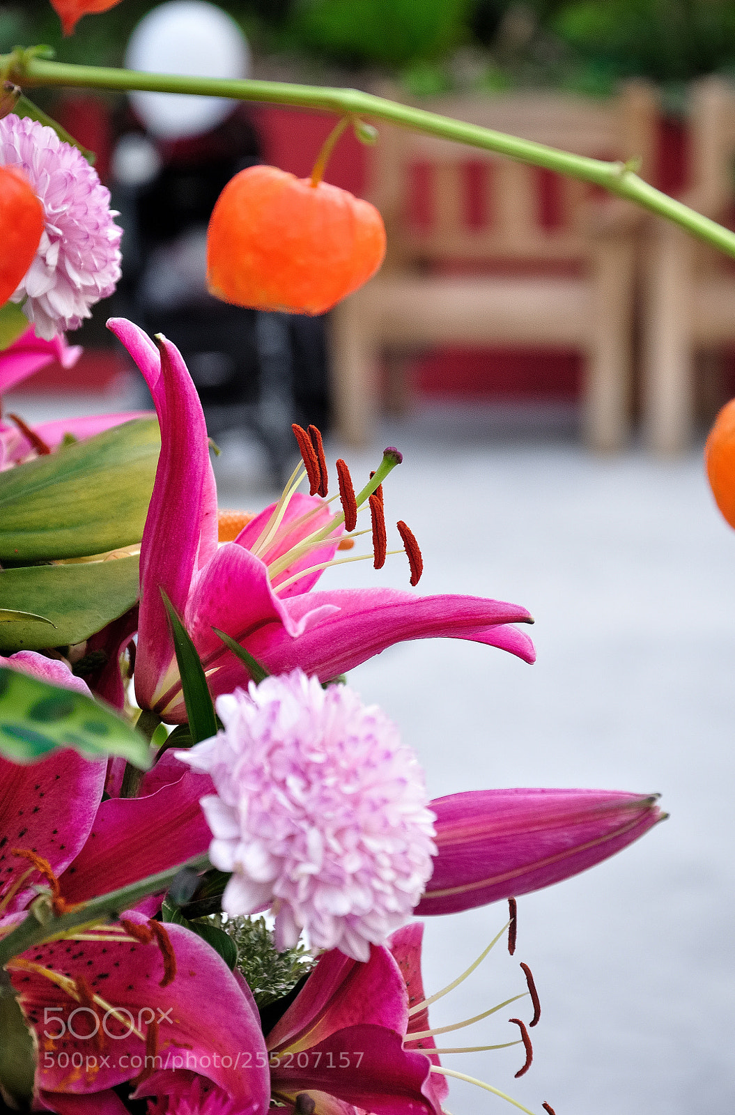 Nikon D90 sample photo. Pink photography