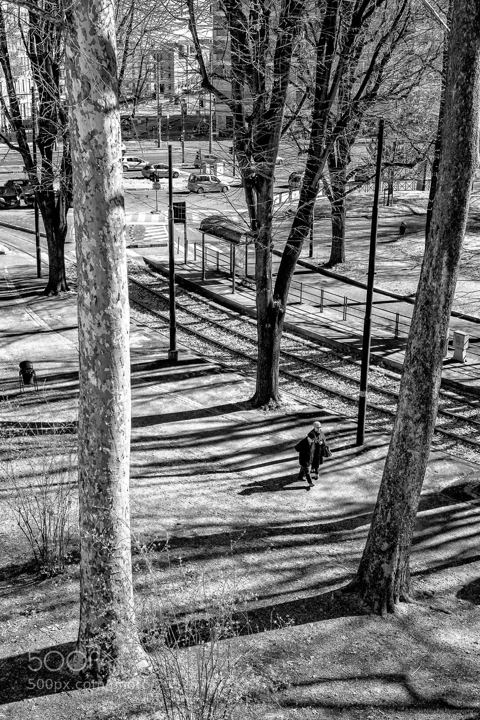 Fujifilm X-E1 sample photo. Daily walk photography