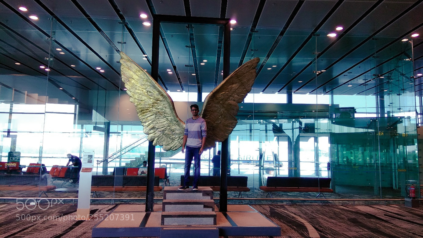 Xiaomi Redmi Note 4 sample photo. Wings of mexico changi photography