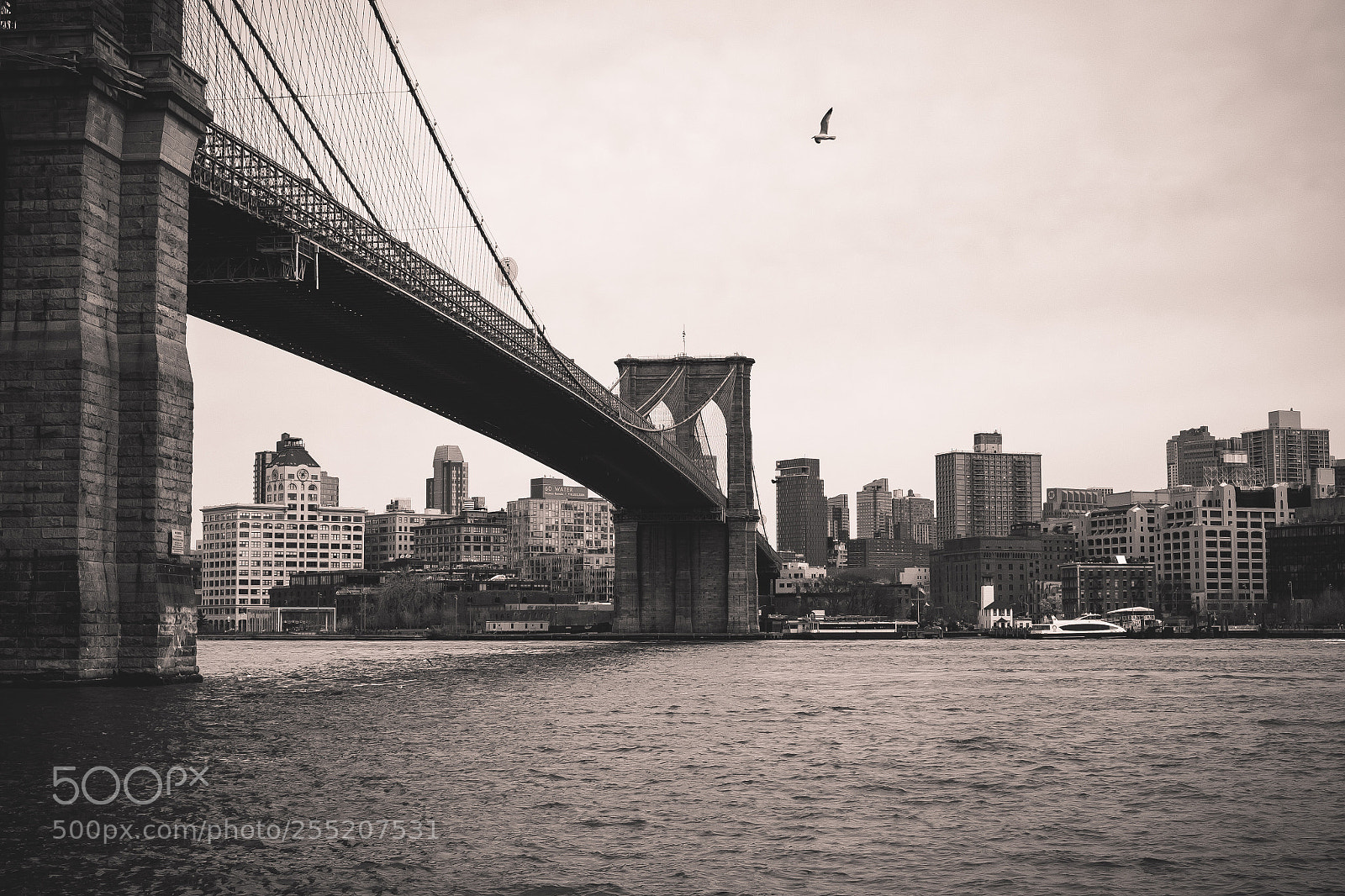Fujifilm X-T10 sample photo. The road to brooklyn photography