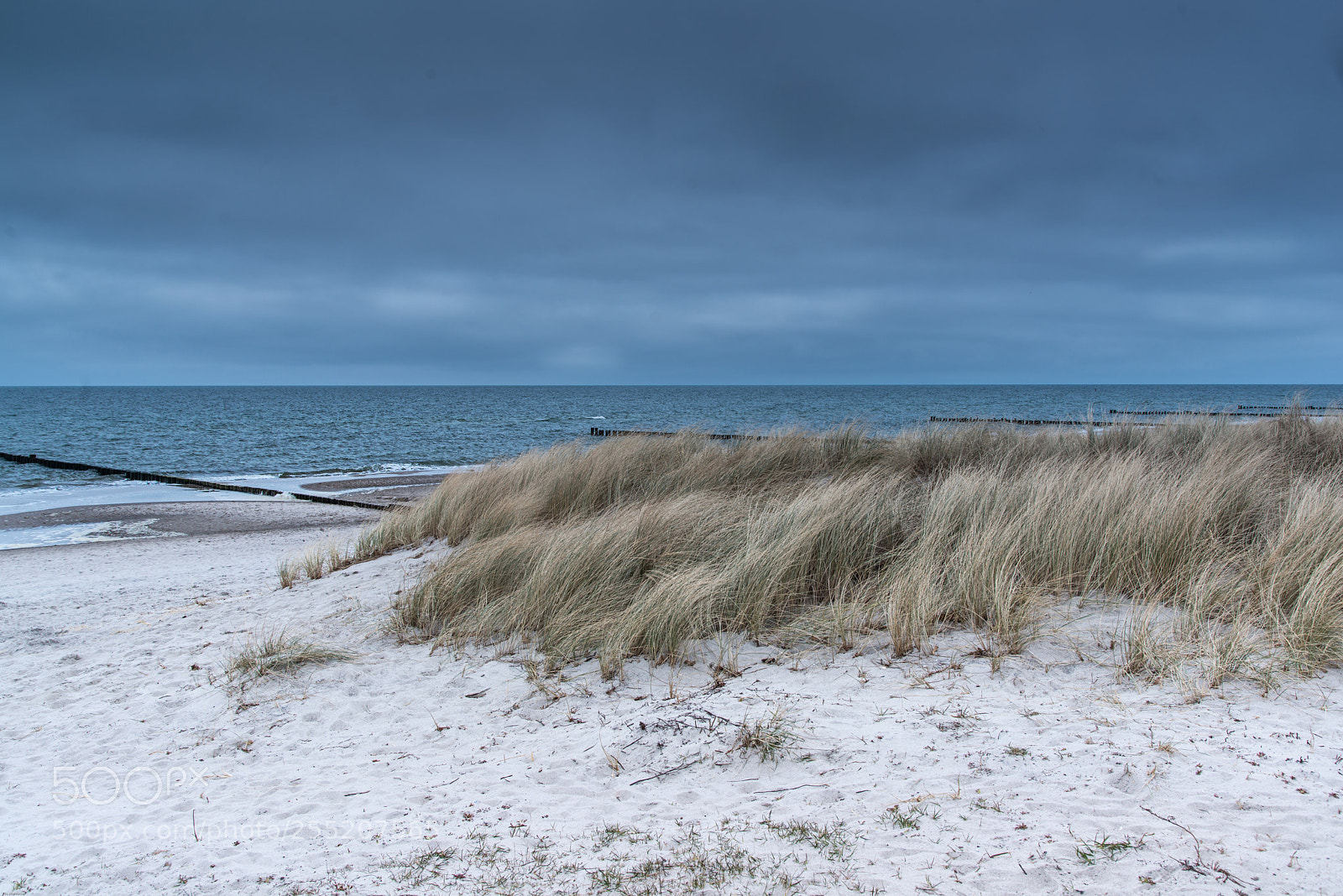 Nikon D800 sample photo. The baltic sea photography
