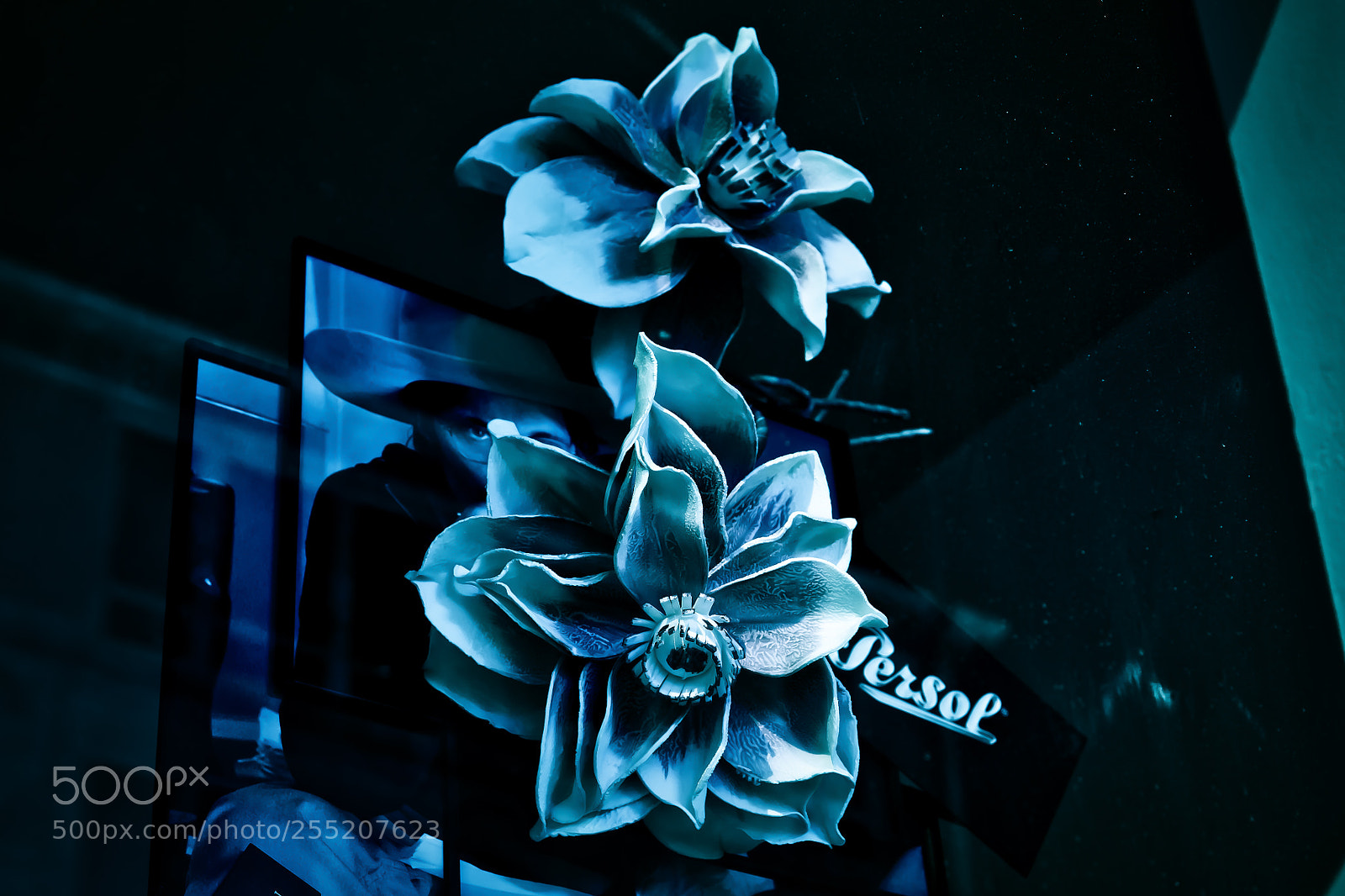 Sony a6300 sample photo. Window shopping dark photography