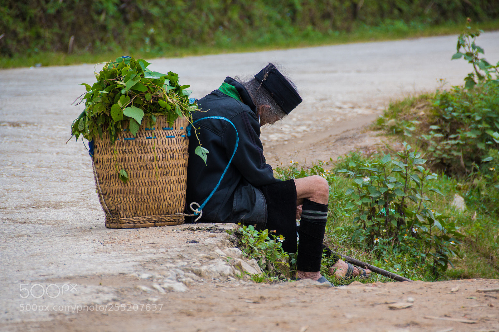 Canon EOS 70D sample photo. Resting photography