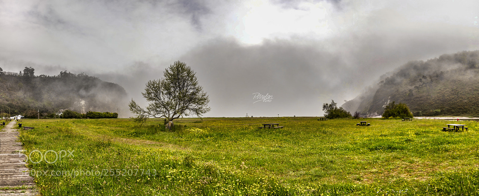 Sony SLT-A68 sample photo. Niebla photography