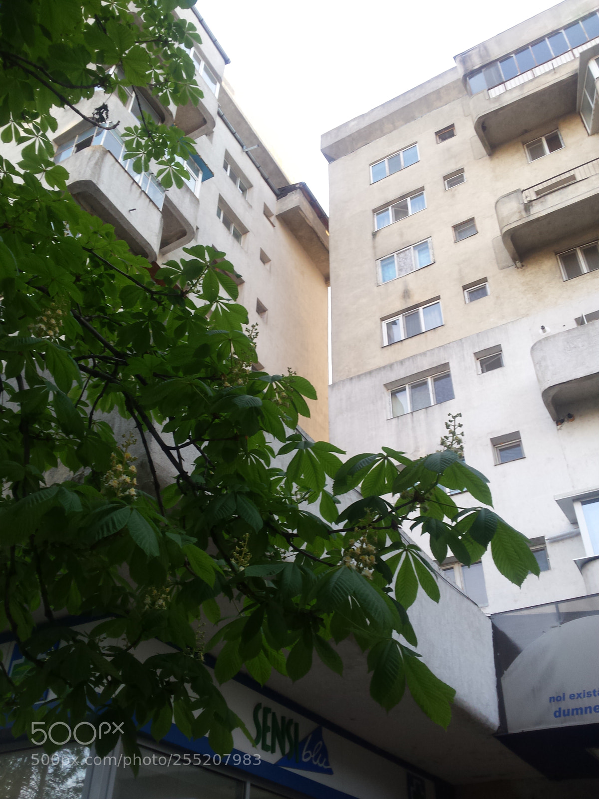 Samsung Galaxy S4 sample photo. Untitled photography